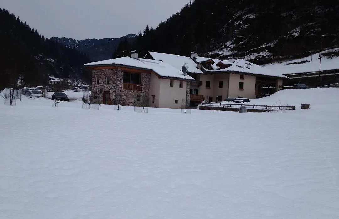 Maso Toneto-1
